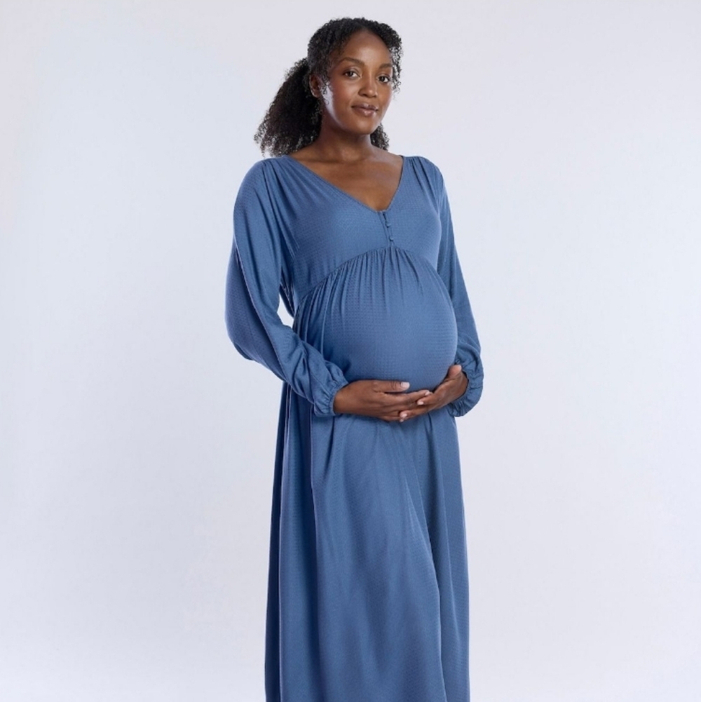 Motherhood Classic Blue Long Sleeve Dress